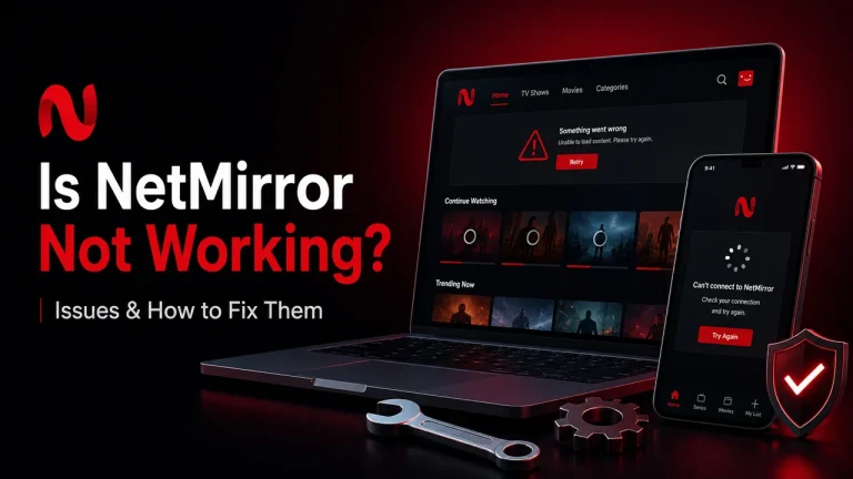 NetMirror Issues & How to Fix